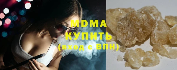 индика Гусев