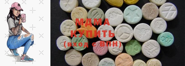 индика Гусев