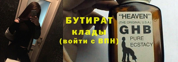 индика Гусев