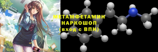 индика Гусев