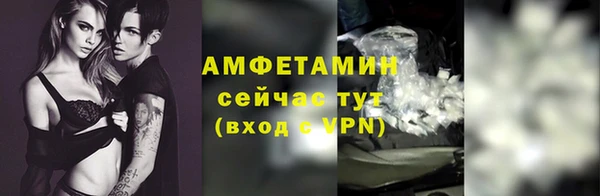 индика Гусев