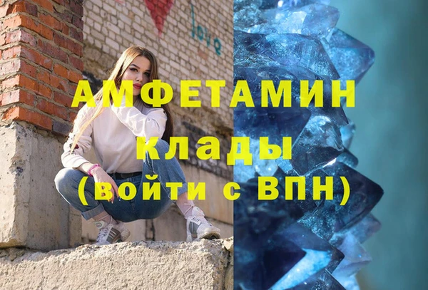 индика Гусев