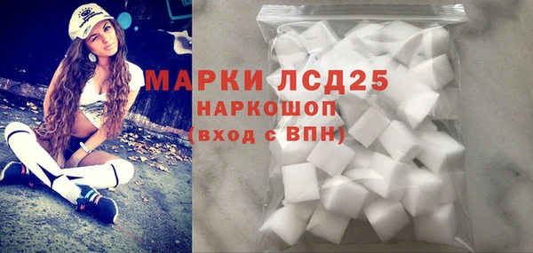 индика Гусев