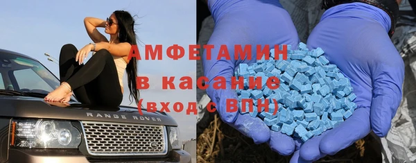 индика Гусев