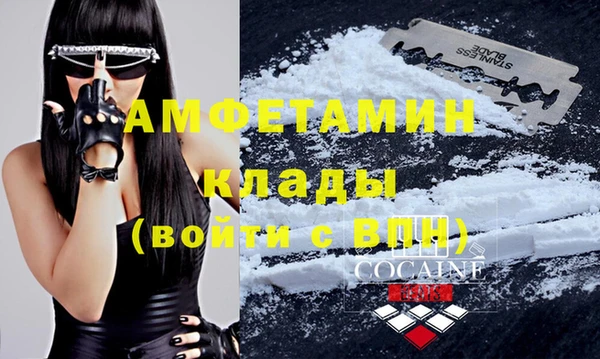 дмт Дмитровск