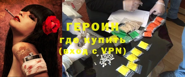 индика Гусев