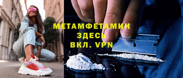 индика Гусев