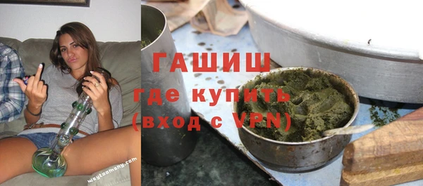 индика Гусев