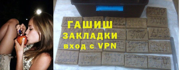 индика Гусев
