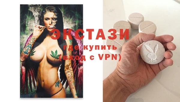индика Гусев
