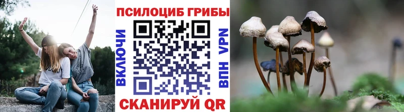 Галлюциногенные грибы MAGIC MUSHROOMS  Кисловодск 
